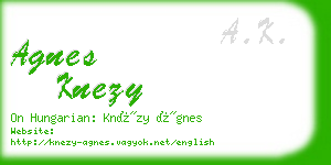 agnes knezy business card